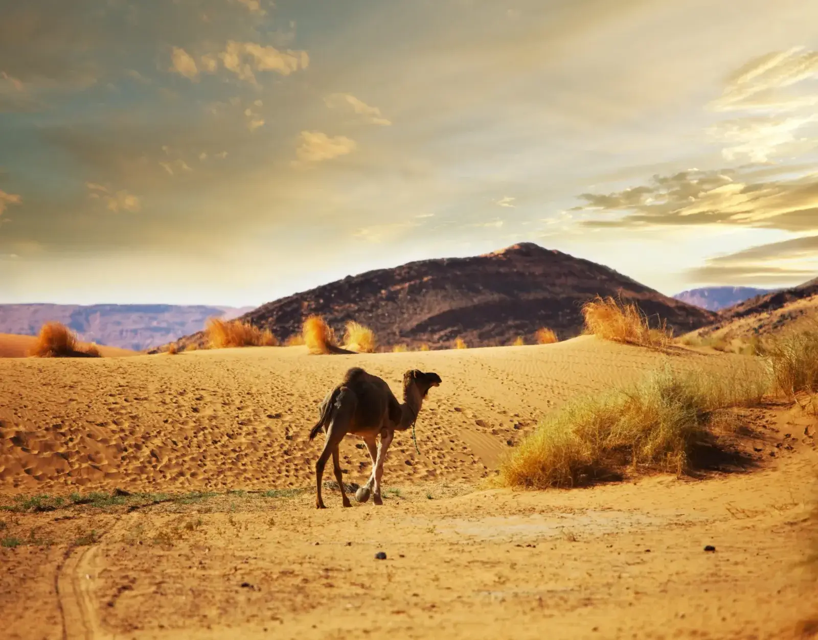 Retraite au Maroc